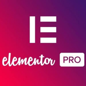 Elementor Pro