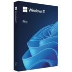 Microsoft Windows 11 Pro